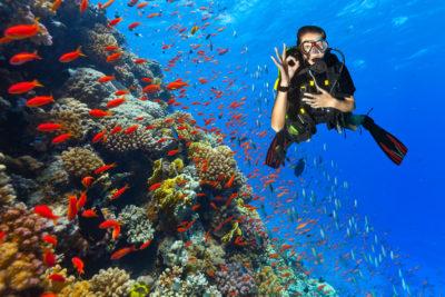 Scuba diver explore a coral reef showing ok sign